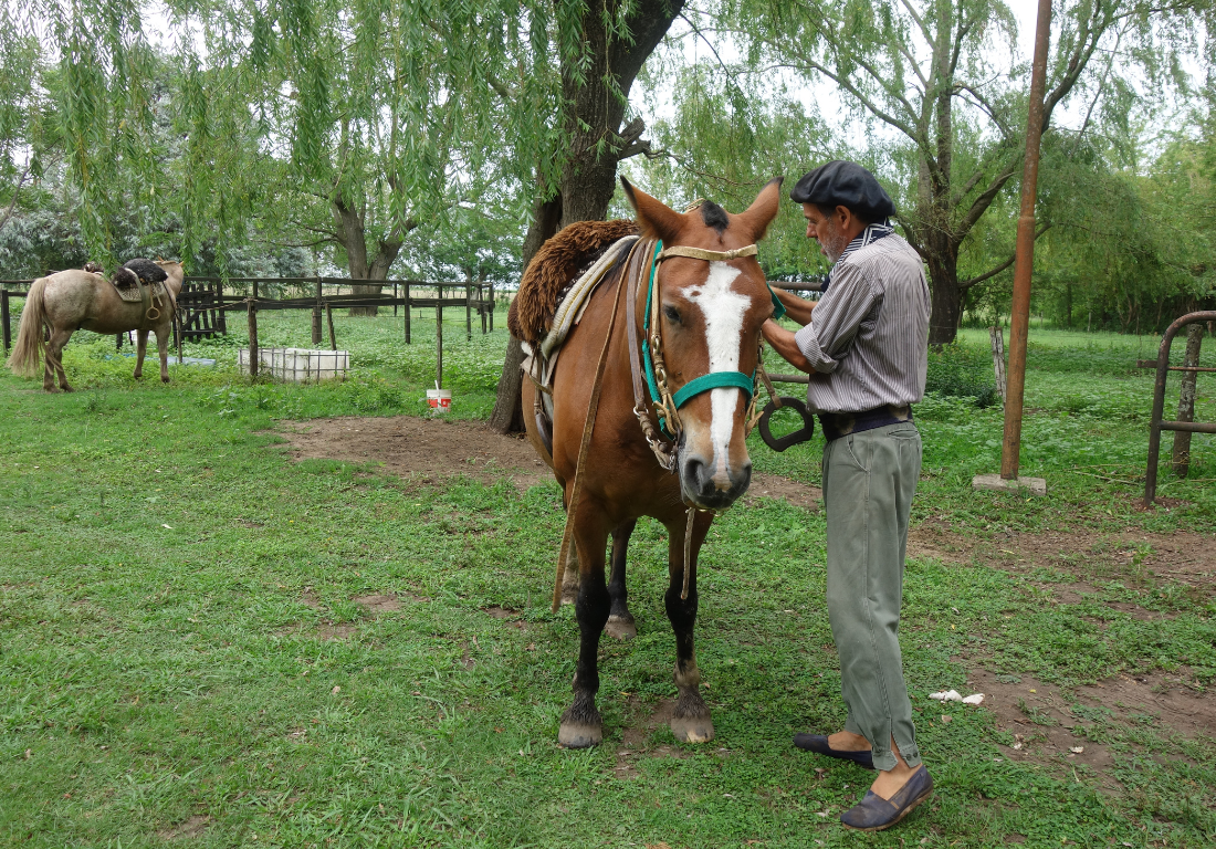 horse riding experience near buenos aires