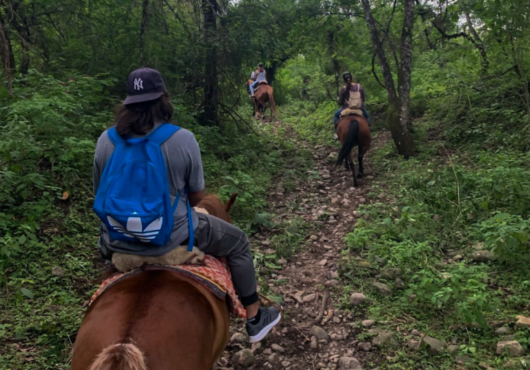 mountain horse riding near salta